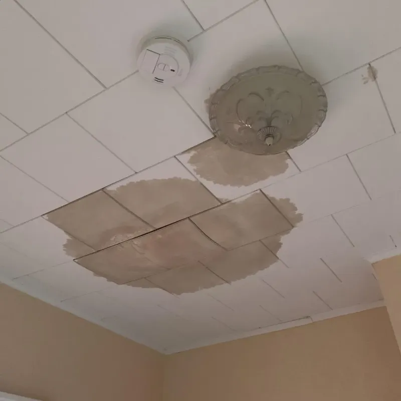 Ceiling Water Damage Repair in Murphy, TX